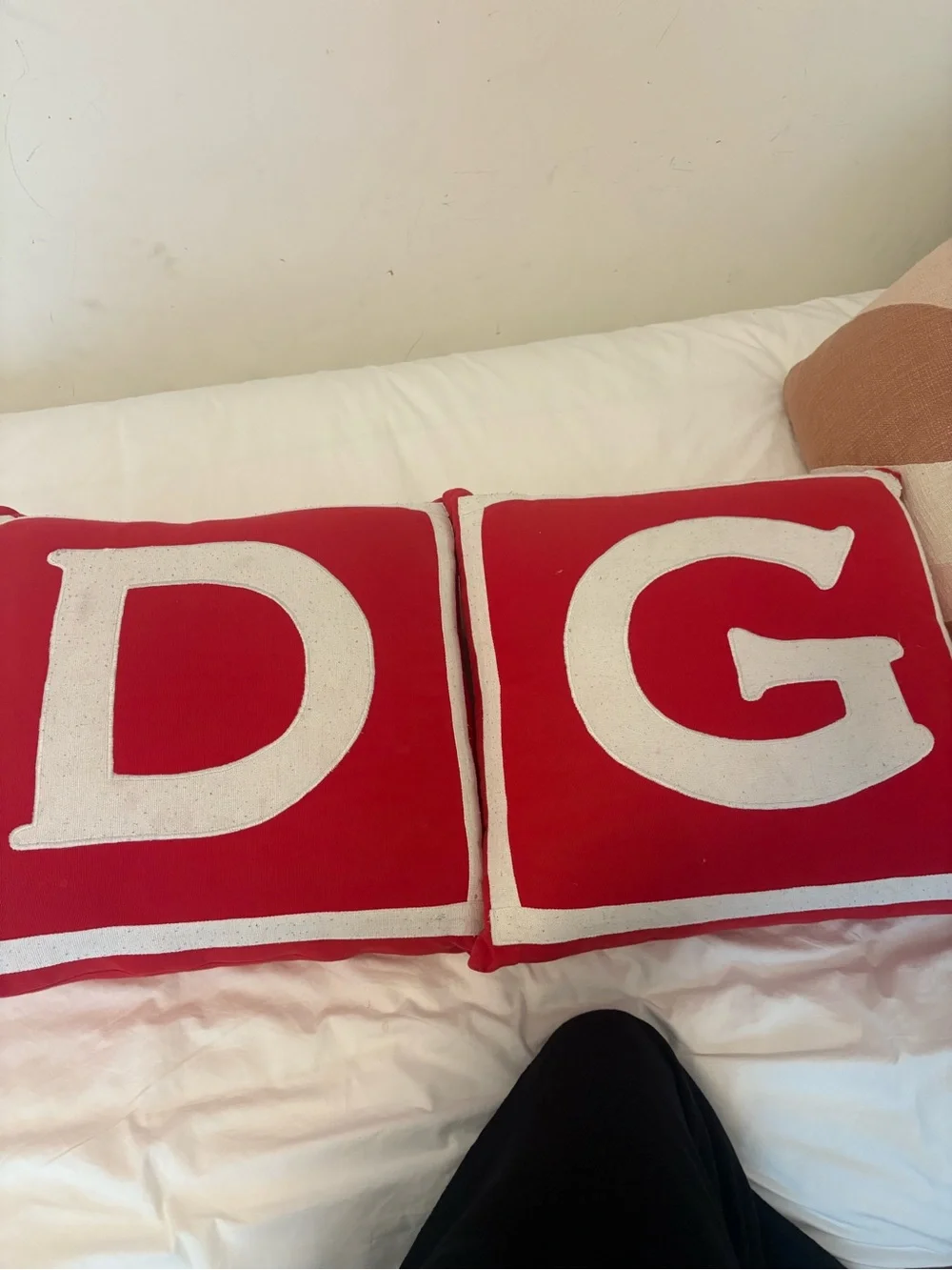 Jonathan adler initial pillows d and g